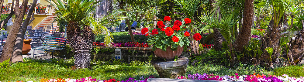 Well maintained Florida garden and outdoor space